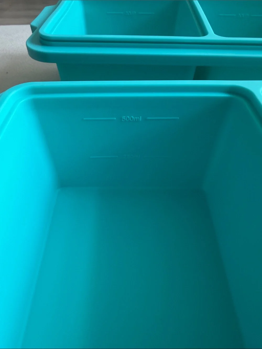 Teal Silicone Freezer Tray - 2 Cup (500ml)